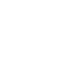 Ureteroscope for Kidney Stone Removal