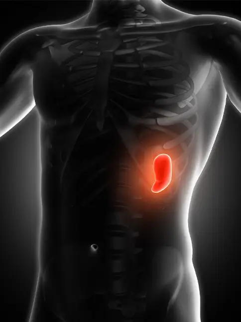 best robotic treatment near me